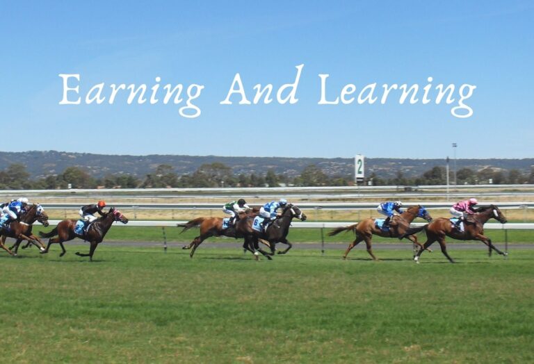 Earning And Learning Horse Race