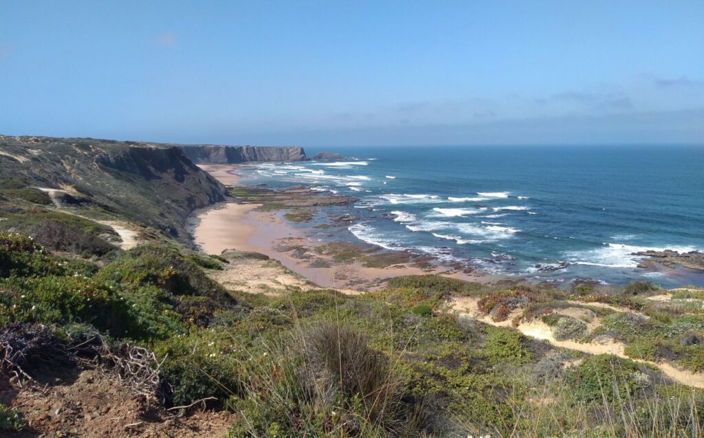 Arrifa coast beach